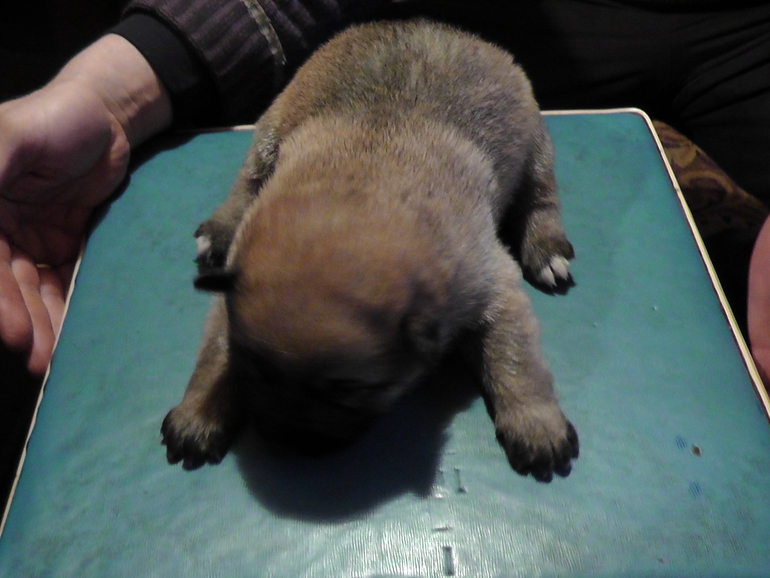 Маленький чудик)))