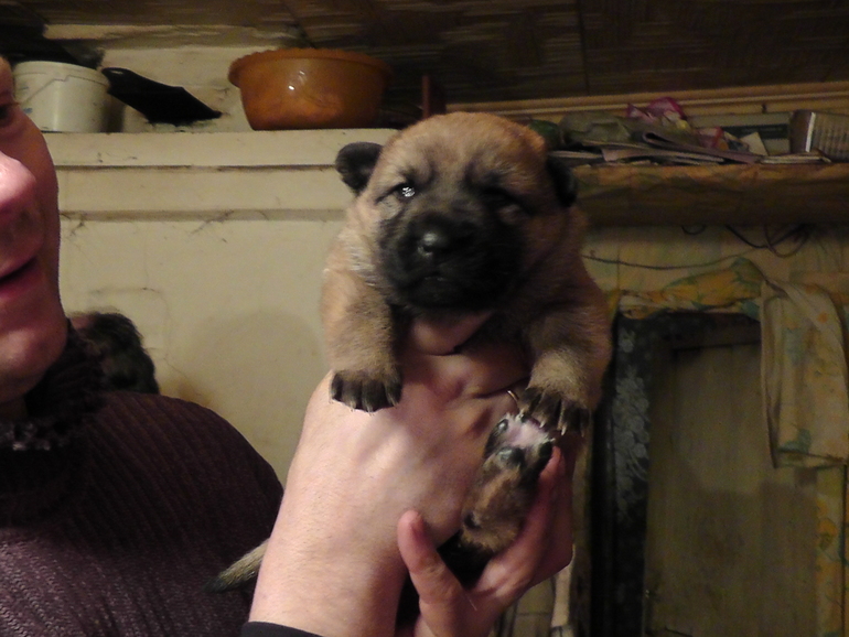 Маленький чудик)))