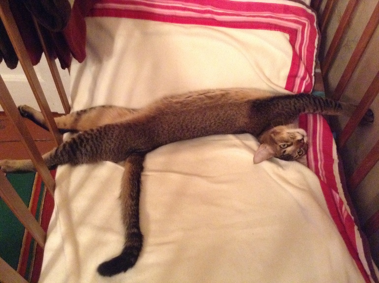 Наш Степашка)