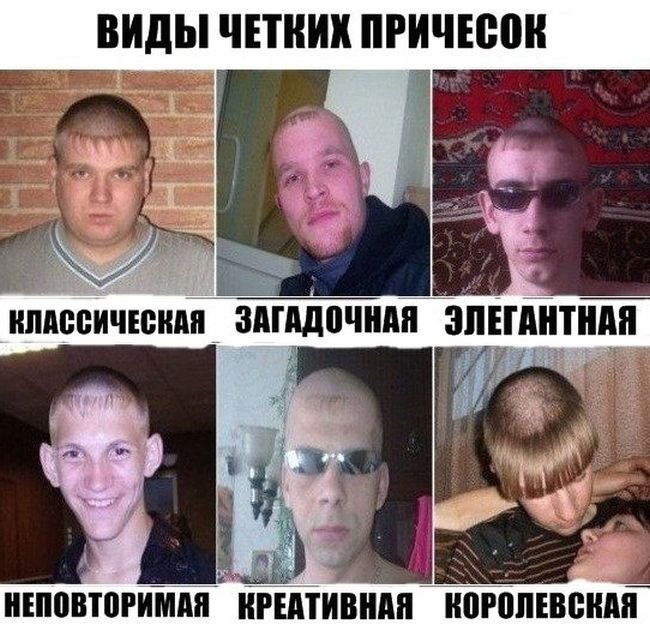 Смешные картинки про стрижки Смешные картинки про стрижки