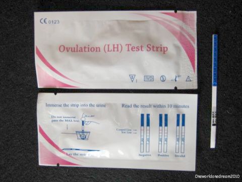 Подскажите про тесты!