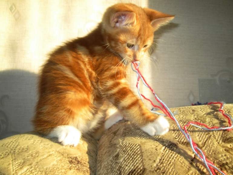 помогите разобраться