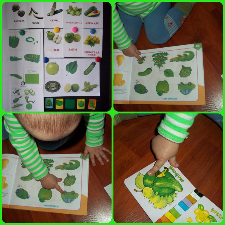 ТН Цвета (красный, зелёный)