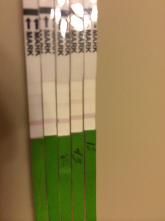 Как думаете есть шансы в этом цикле ?