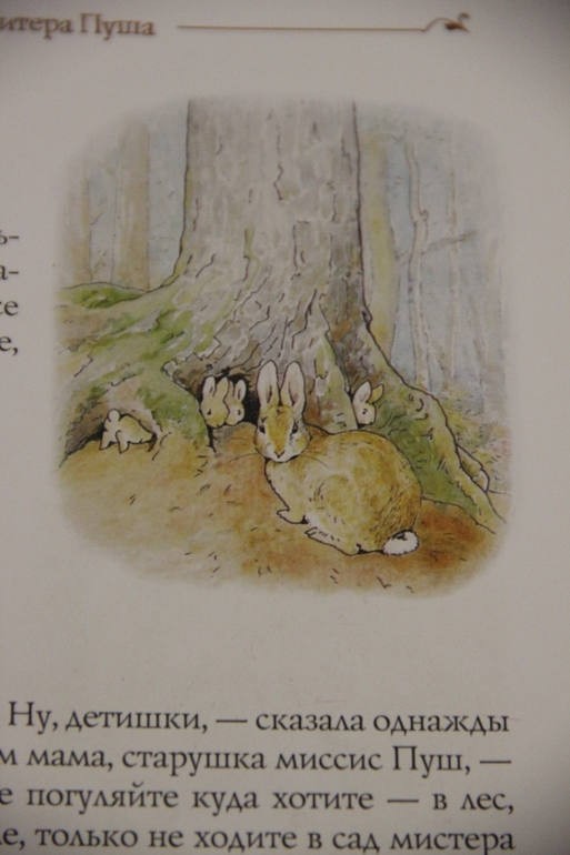 Наше пополнение