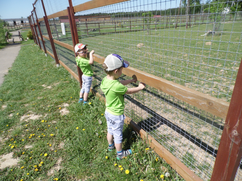 Устроили мальчишкам выходной))