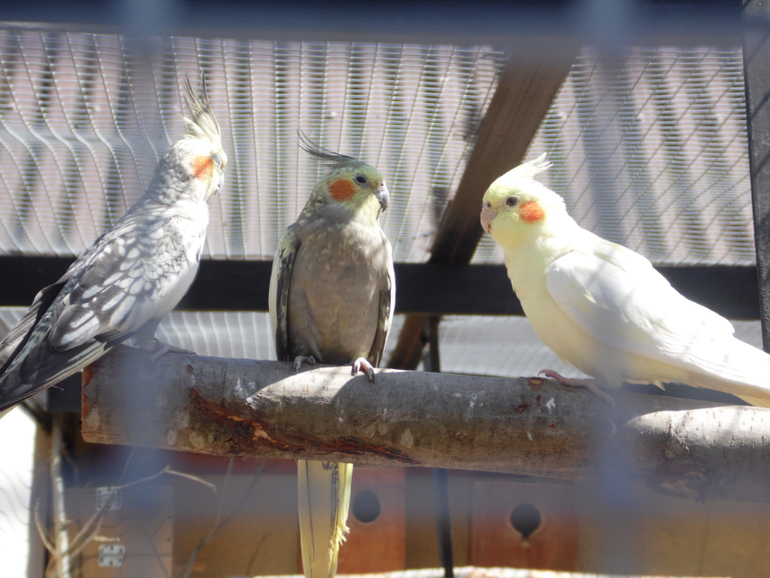 Устроили мальчишкам выходной))
