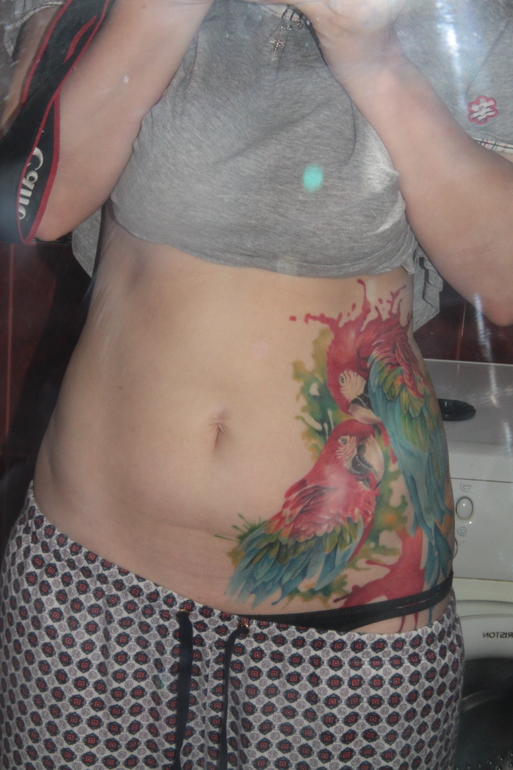 Мои попугаи)