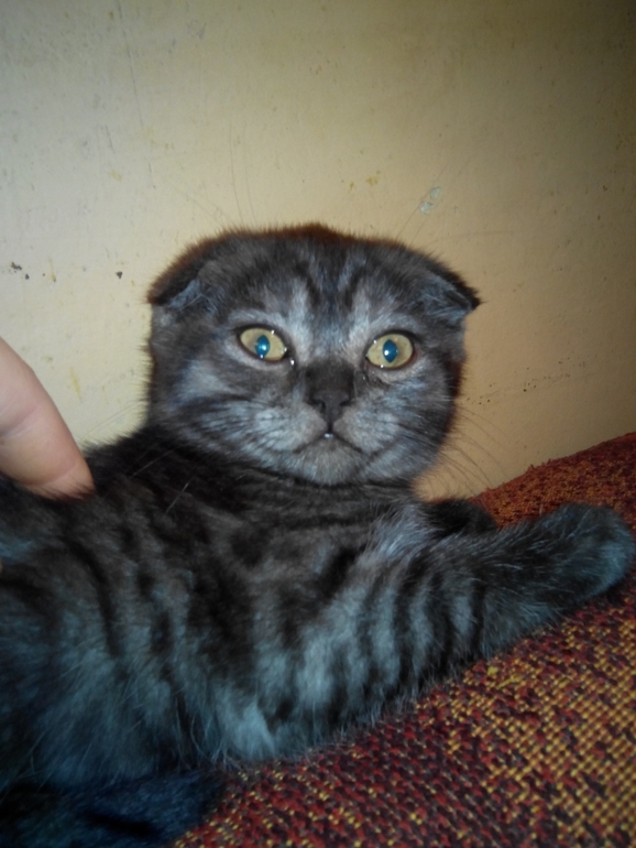 и мы растем) Тиффани!