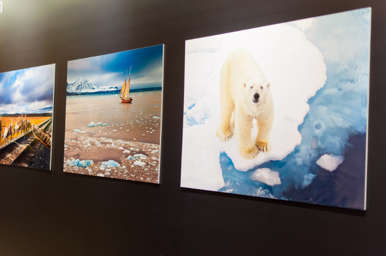 Фотовыставка в Крокусе