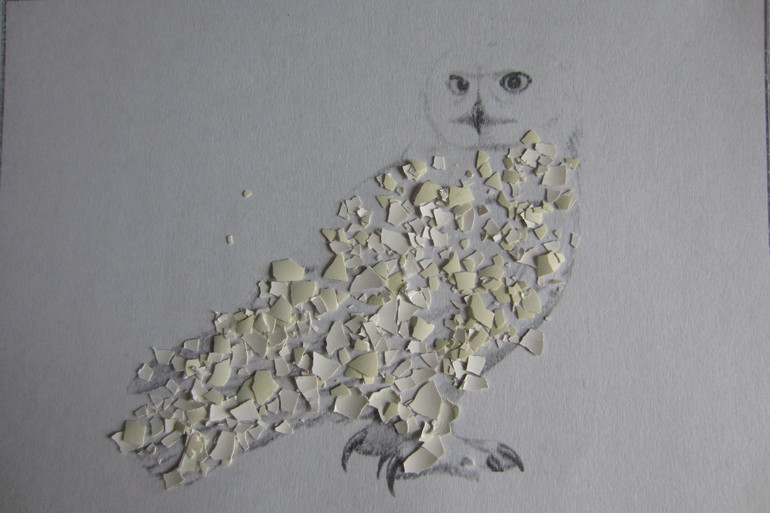 ТН Арктика и Антарктика. День 5