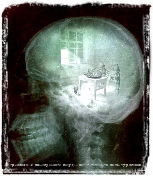 Вести из Дурдома