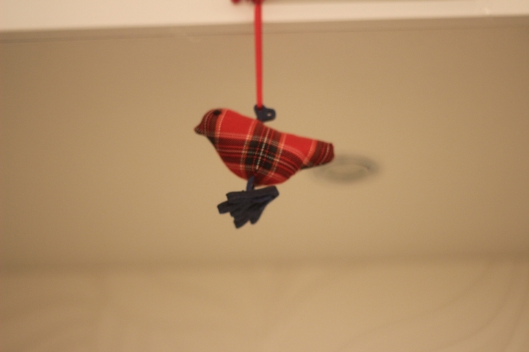 покажу остатки нового года