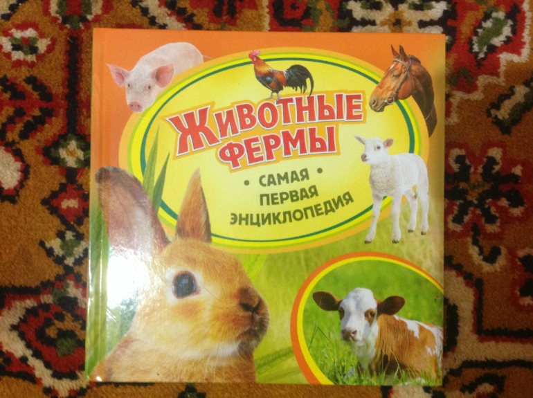 ТЗ Корова, Молоко, Творог