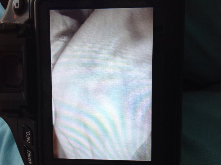 Пижамы из Некста