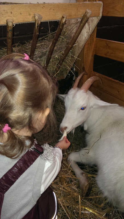 Краткие впечатления о развлечениях