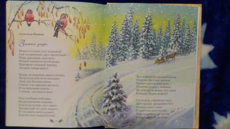 Книжное пополнение 1