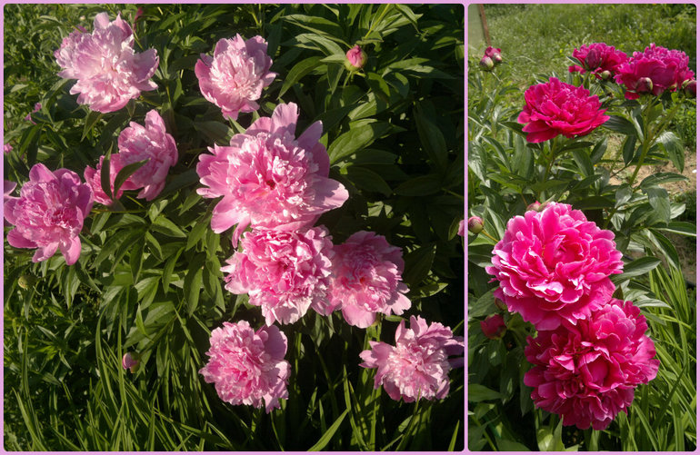 Fly-эстафета в частном доме. 5 июня