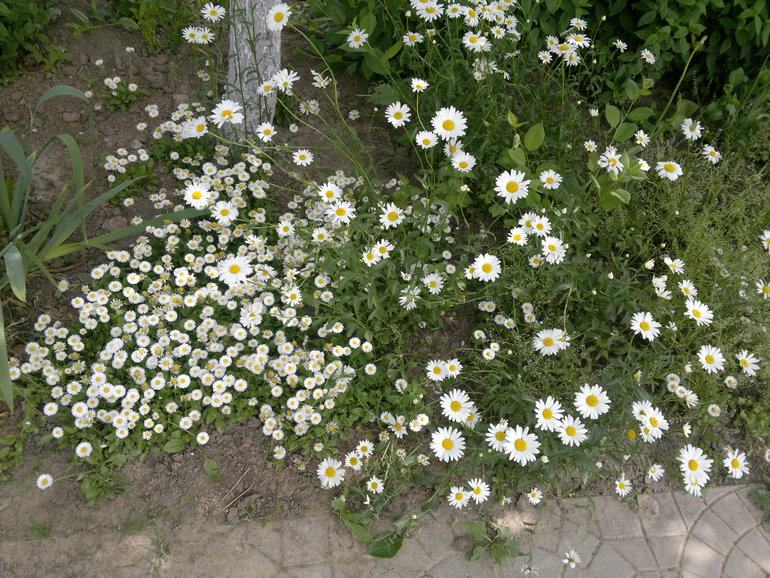 Fly-эстафета в частном доме. 4 июня