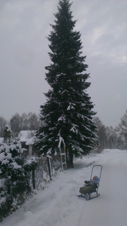Новогодний переполох,часть 2