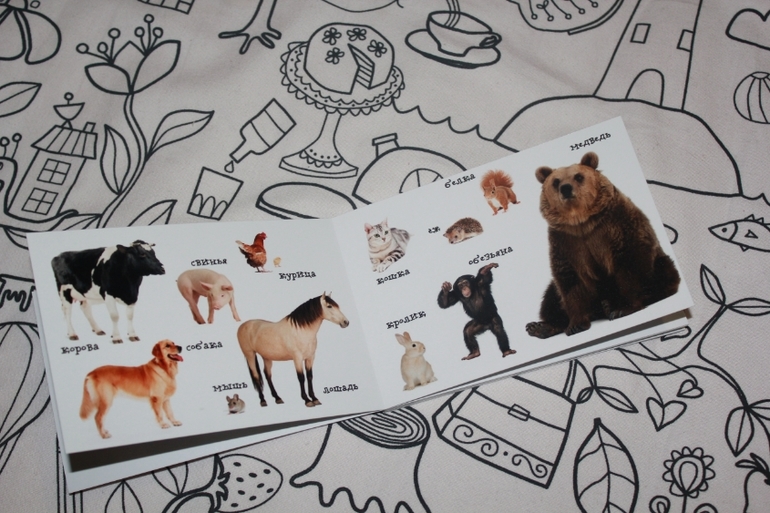 Книжка-игрушка 2 в 1