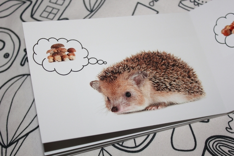 Книжка-игрушка 2 в 1