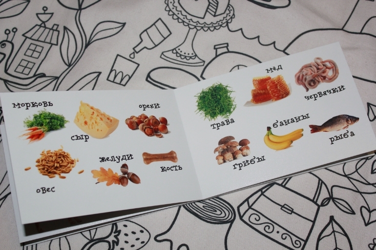 Книжка-игрушка 2 в 1