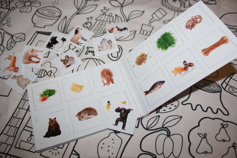 Книжка-игрушка 2 в 1