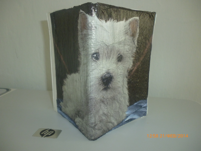 обложка на паспорт