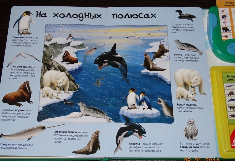 Книги по низкой цене в Май-шоп (живые фото)