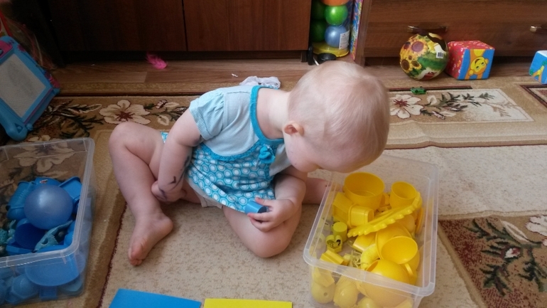 ТН "ЦВЕТА" 1,7