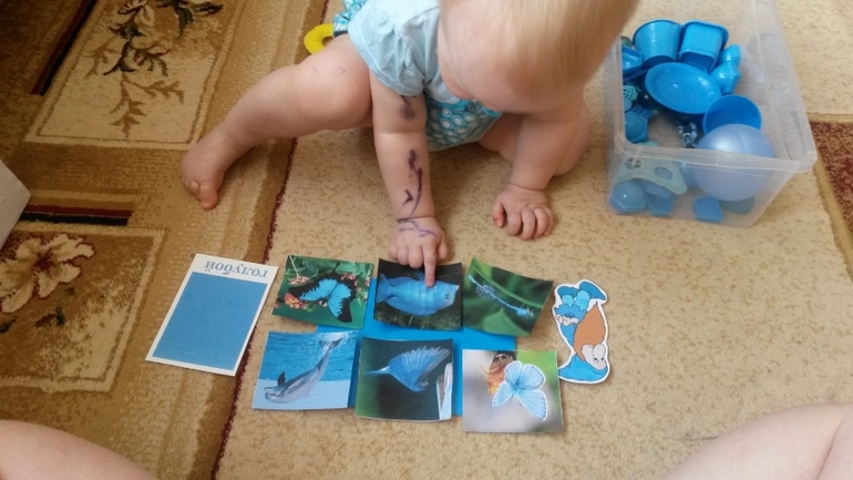 ТН "ЦВЕТА" 1,7