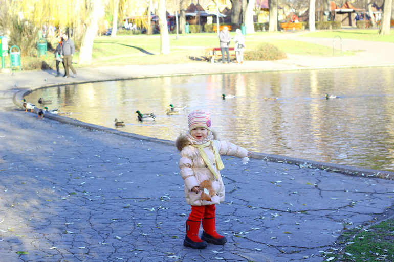 Птички Будапешта)