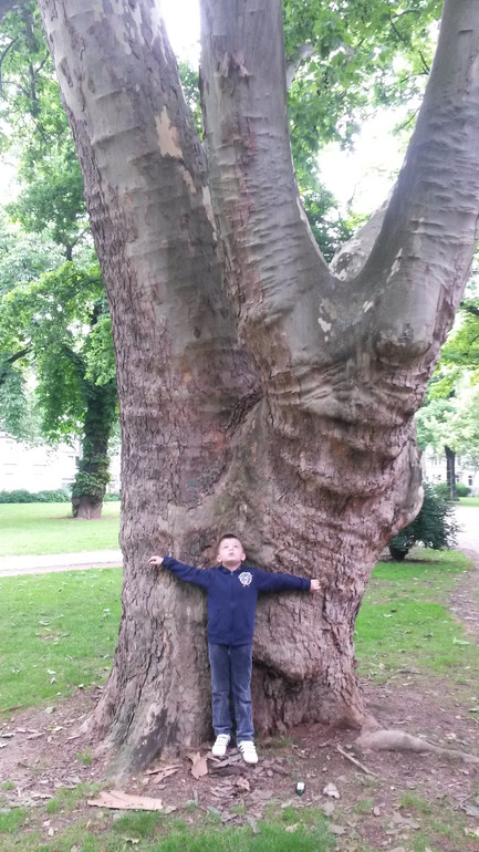 Для хорошего настроения:)