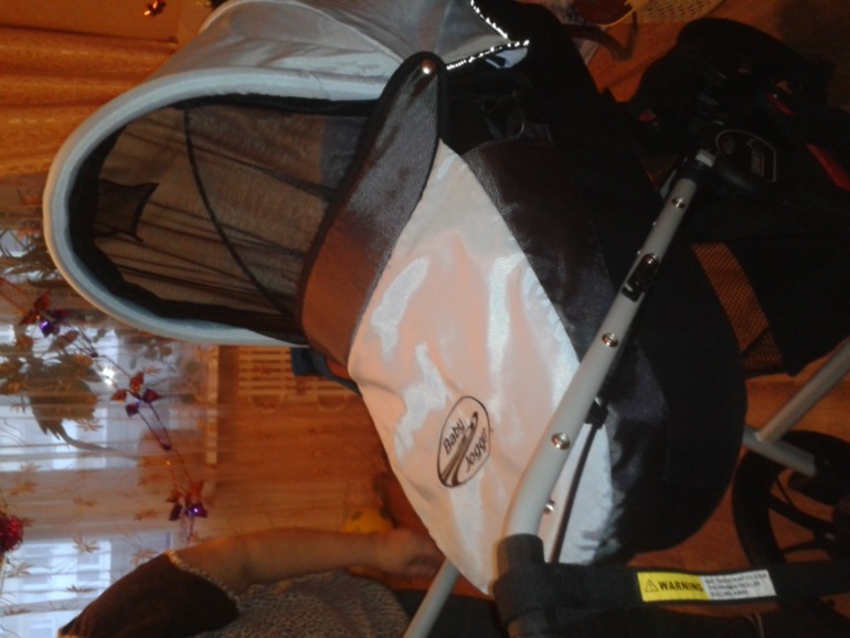 Пришла моя колясочка