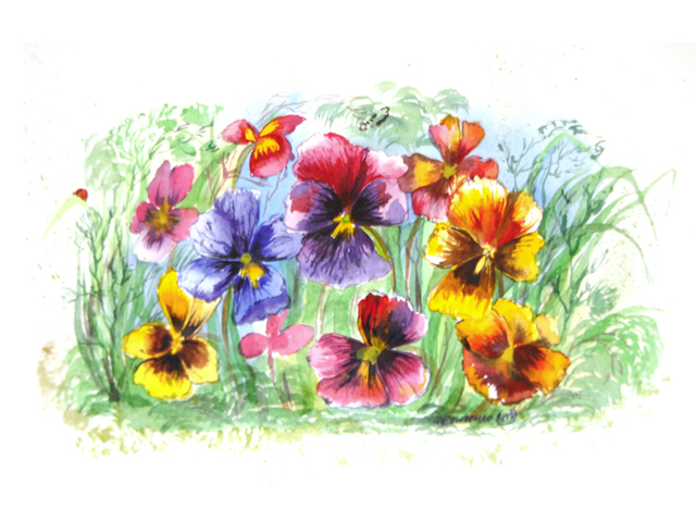 Акварель Это моя жизнь