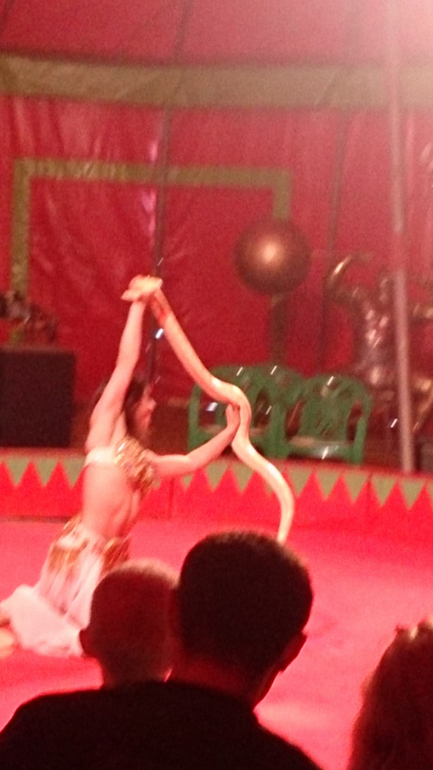 Поездка в Экзотик-парк