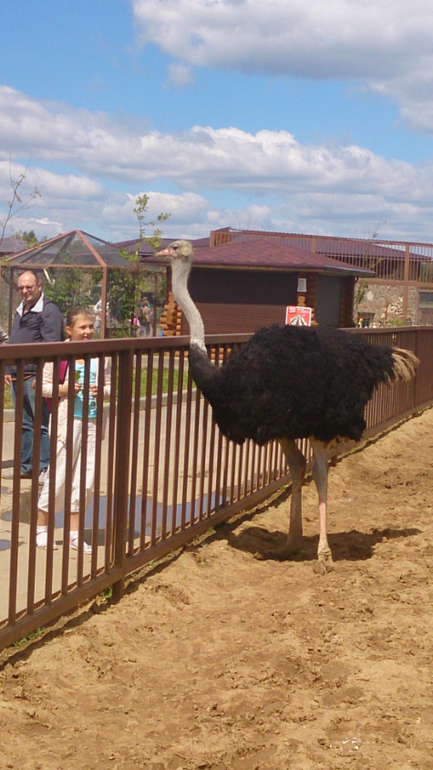Поездка в Экзотик-парк