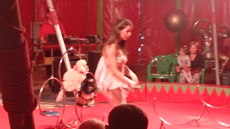 Поездка в Экзотик-парк