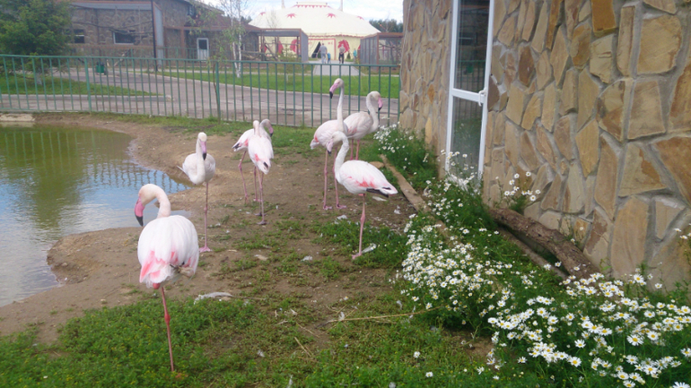 Поездка в Экзотик-парк
