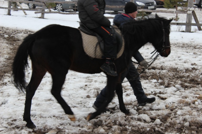 Поездка с классом в Дмитровку )  и школьная