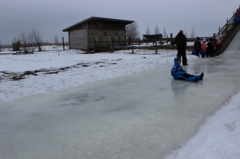 Поездка с классом в Дмитровку )  и школьная