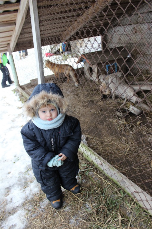 Поездка с классом в Дмитровку )  и школьная