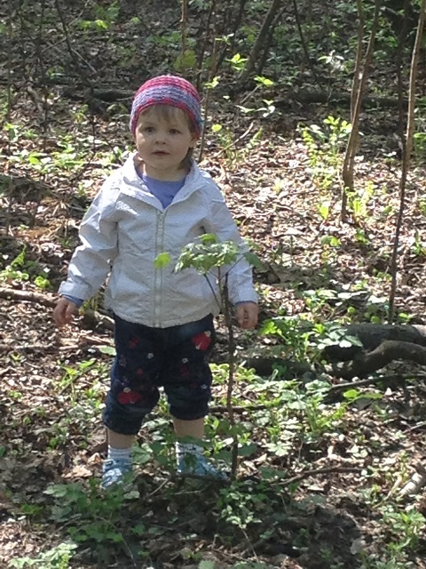 Полина 2013/2014г.