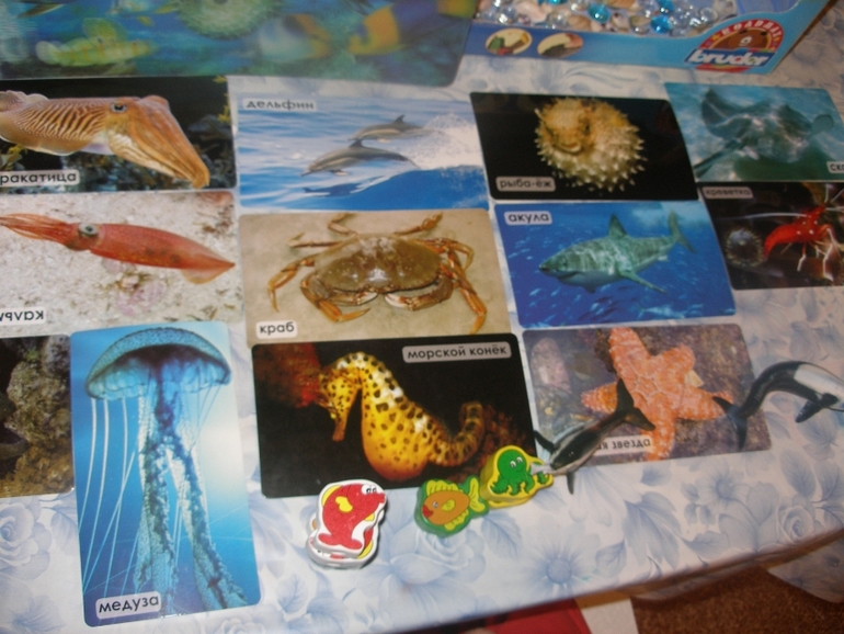 ТН " Море". Рыбы