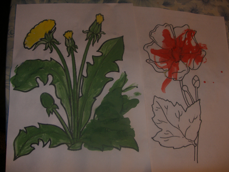 ТД " Как Нарцисс стал королем болот"