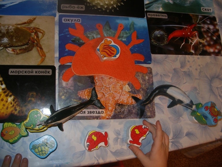 ТН " Море". Рыбы