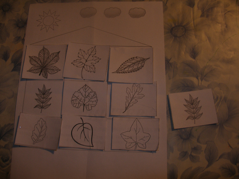 ТН " Деревья". Дни 3,4,5.