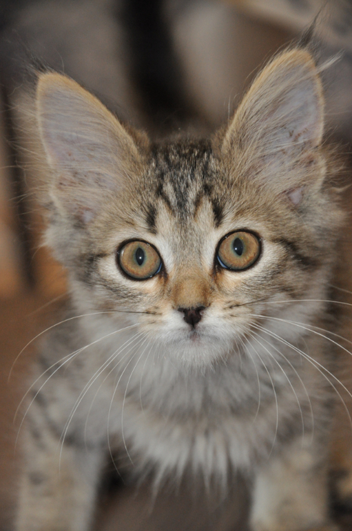 Василиса 20 июня 2014