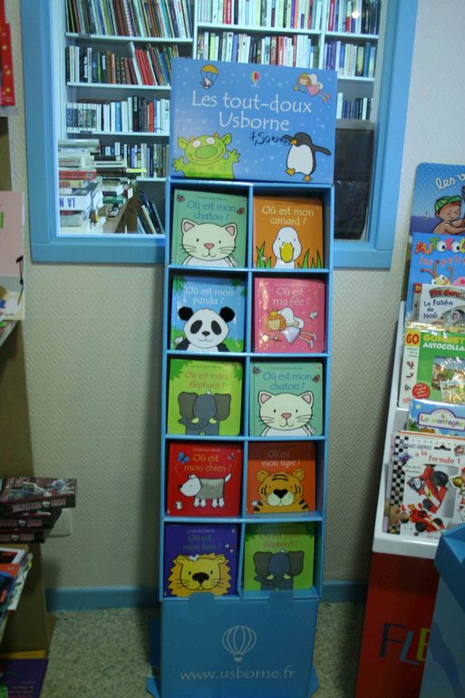 Книжный магазин во Франции.